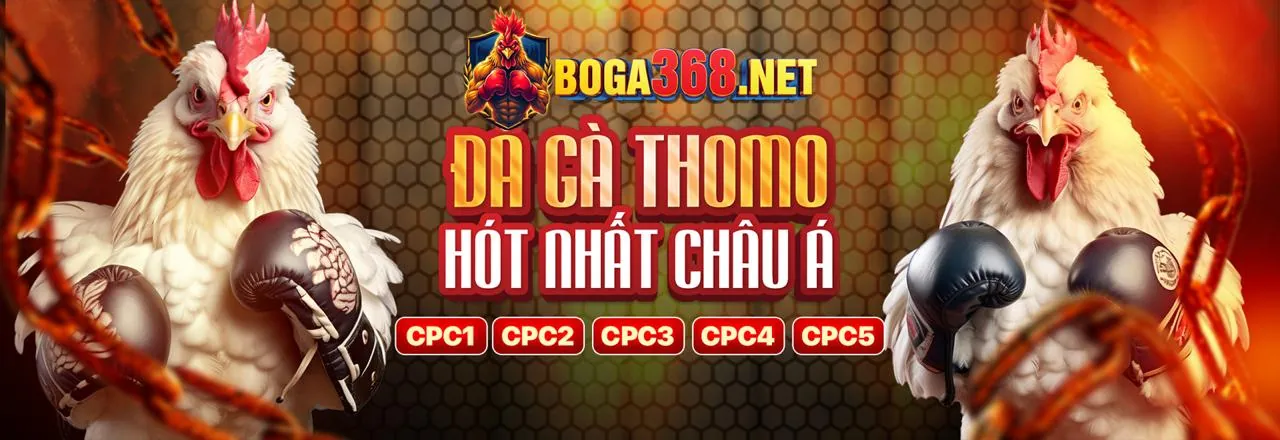 Sân chơi đá gà trực tuyến PKBET chính thức