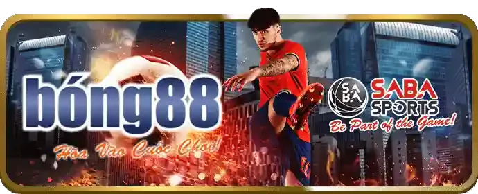 Thưởng Nạp Lần Đầu Cho Cá Cược Thể Thao pkbet chính thức